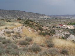 Cerro de la Almagra 2004